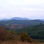 HPIM4249